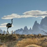 Autoridades de El Chaltén asumen el 12 de diciembre