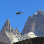 Nuevo avistaje de huemules en el Parque Nacional Los Glaciares