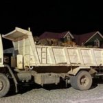 Brigadistas caminarán 220 km para reunirse con autoridades de Glaciares