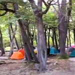 GRAVE ACCIDENTE DE UN EMPLEADO DE SERVICIOS PÚBLICOS EN EL CHALTÉN